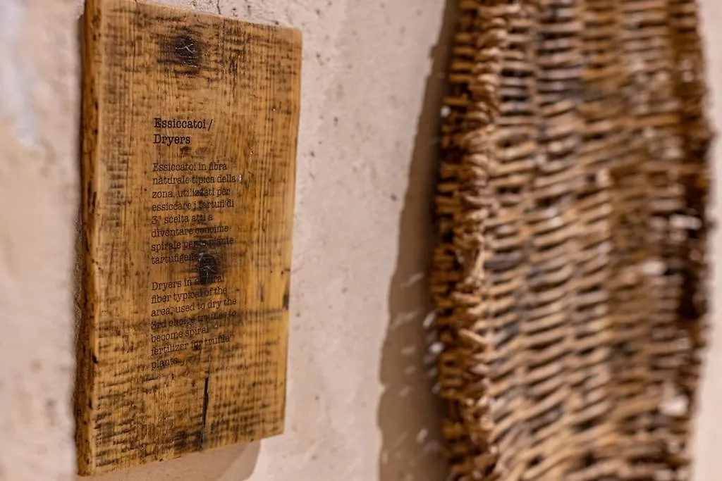 Apartment Truffle House Tuscany Tuber Aestivium Vitt Montepulciano